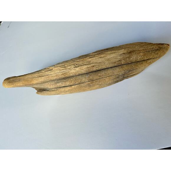 Driftwood from Hetch Hetchy dam 12 inches aquarium art decor - Picture 5 of 9